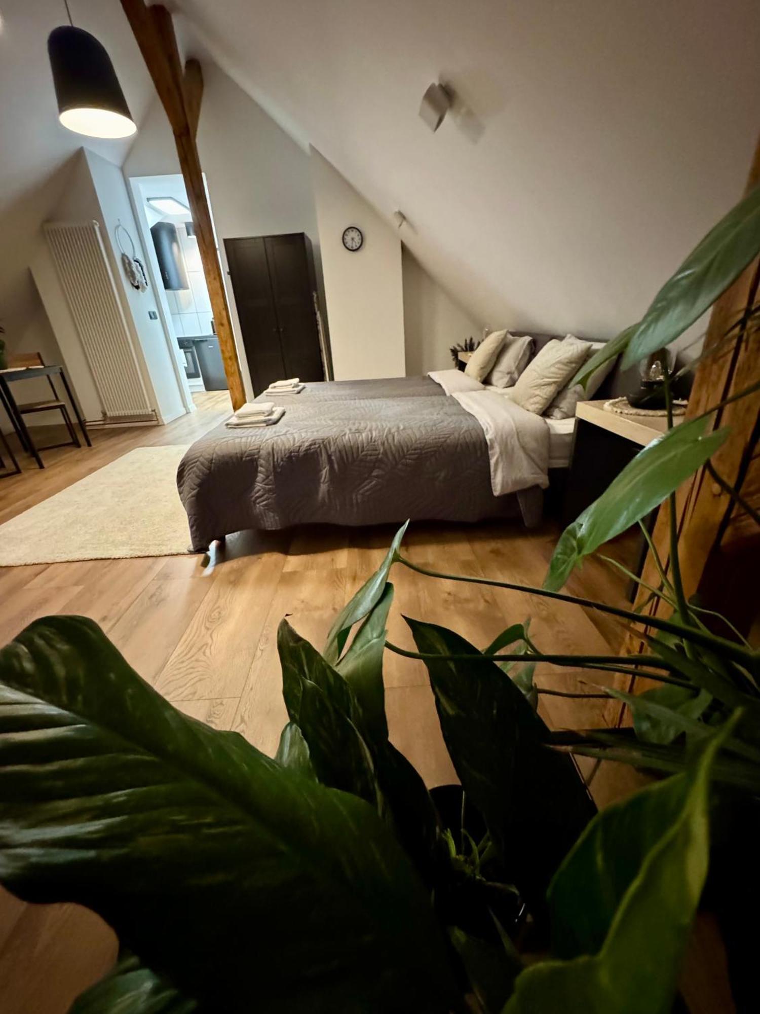 Apartamenty Astor - Ksiezycowy Szczawno-Zdroj Esterno foto