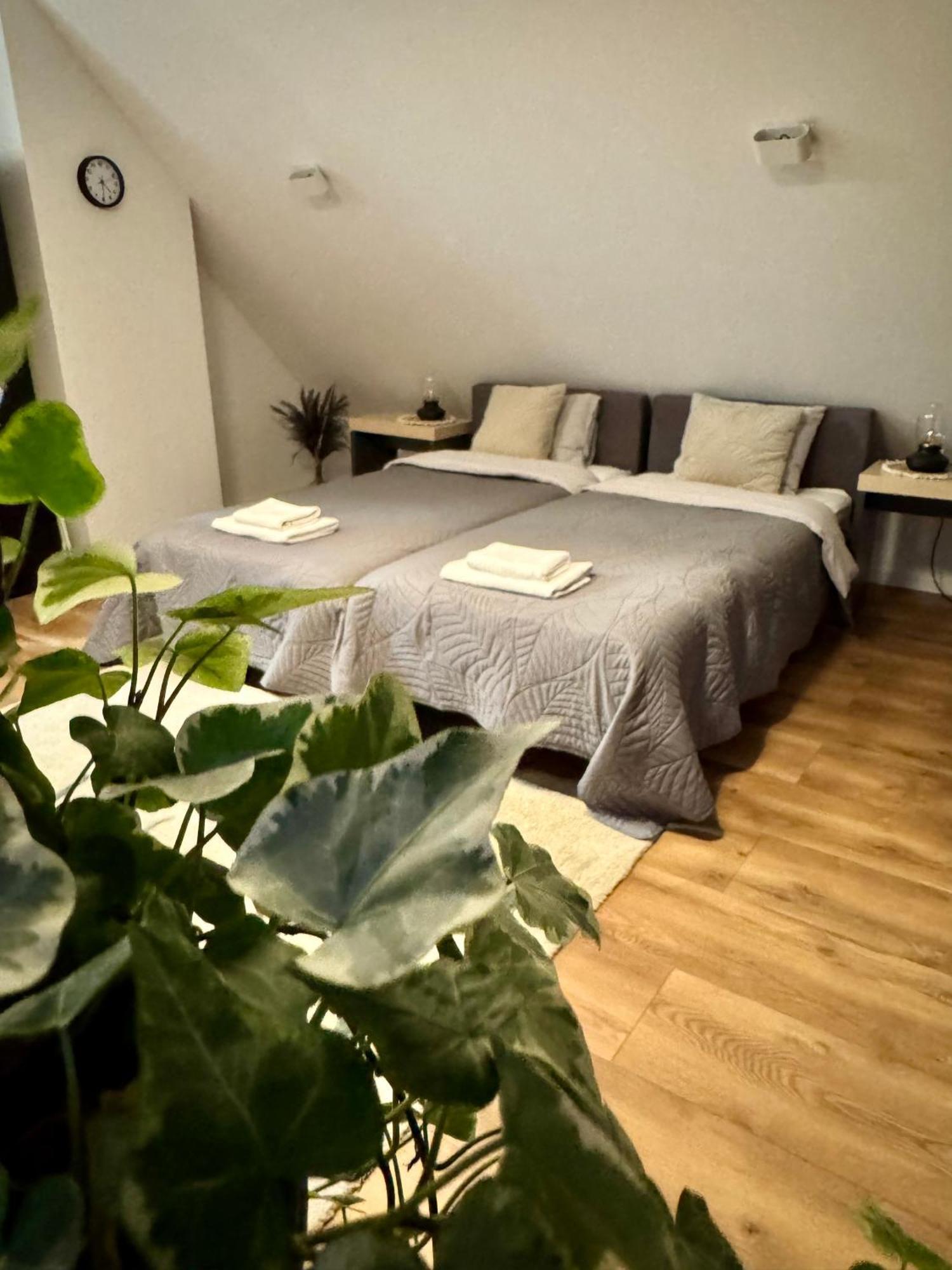 Apartamenty Astor - Ksiezycowy Szczawno-Zdroj Esterno foto